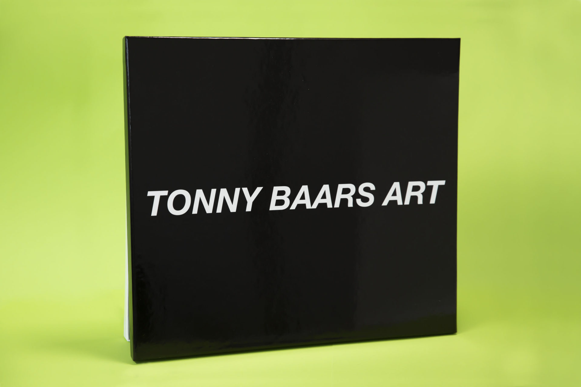Doos met deksel Tonny Baars Art
